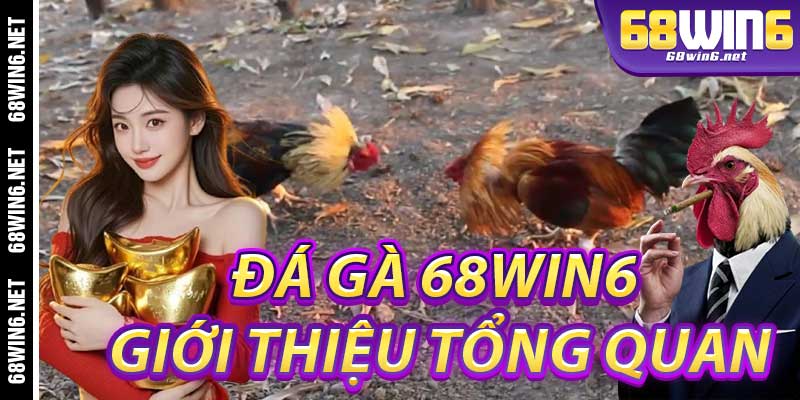Đá Gà 68Win6: Giới Thiệu Tổng Quan